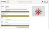 Natural Ruby Starburst Cluster Ring with Princess-Cut Center in Yellow Gold