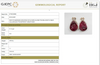 Hand-Carved Rubellite Drops with Pavé Diamond Accents Earring