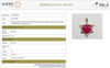 Heart- Shaped Ruby Open Heart Star Cover Pendant