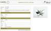 Veronica butterfly Seap Pendant
